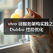 vivo 微服务架构实践之 Dubbo 性能优化(图1) vivo 微服务架构实践之 Dubbo 性能优化(图1)