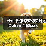 vivo 微服务架构实践之 Dubbo 性能优化(图2) vivo 微服务架构实践之 Dubbo 性能优化(图2)