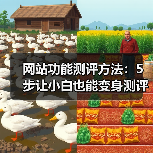 网站功能测评方法：5步让小白也能变身测评专家（图4）
