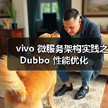 vivo 微服务架构实践之 Dubbo 性能优化（图4）