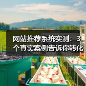 网站推荐系统实测：3个真实案例告诉你转化率如何提升217%（图2）