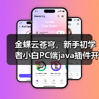 金蝶云苍穹，新手初学者小白PC端java插件开发教学示例（图4）