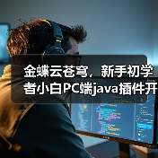 金蝶云苍穹，新手初学者小白PC端java插件开发教学示例（图3）