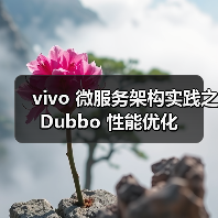 vivo 微服务架构实践之 Dubbo 性能优化（图2）