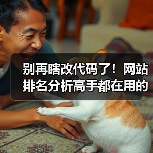 别再瞎改代码了！网站排名分析高手都在用的3个核心心法（图4）