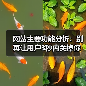 网站主要功能分析：别再让用户3秒内关掉你的页面（图4）