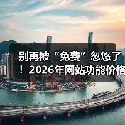 别再被“免费”忽悠了！2026年网站功能价格分析，这3招帮你省下50%预算（图4）