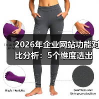 2026年企业网站功能对比分析：5个维度选出真正能帮你赚钱的官网
