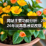 网站主要功能分析：2026年别再靠感觉改版，这3步让流量提升217%（图4）