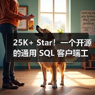 25K+ Star！一个开源的通用 SQL 客户端工具！（图3）