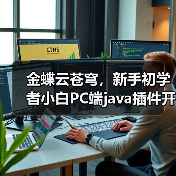 金蝶云苍穹，新手初学者小白PC端java插件开发教学示例