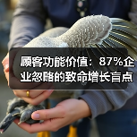 顾客功能价值:87%企业忽略的致命增长盲点(图2) 顾客功能价值:87%企业忽略的致命增长盲点(图2)
