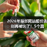 2026年最新网站报价表:别再被坑了!5个真相让你少花3万冤枉钱(图3) 2026年最新网站报价表:别再被坑了!5个真相让你少花3万冤枉钱(图3)