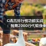 C语言排行榜功能实战:我用2000行代码换来的5个血泪教训(图3) C语言排行榜功能实战:我用2000行代码换来的5个血泪教训(图3)