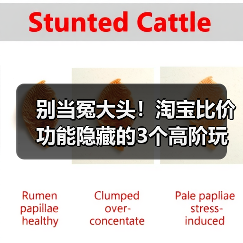 别当冤大头!淘宝比价功能隐藏的3个高阶玩法,90%的人不知道(图3) 别当冤大头!淘宝比价功能隐藏的3个高阶玩法,90%的人不知道(图3)
