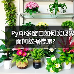 PyQt多窗口如何实现界面间数据传递？（图3）