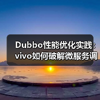 Dubbo性能优化实践:vivo如何破解微服务调用瓶颈?(图3) Dubbo性能优化实践:vivo如何破解微服务调用瓶颈?(图3)