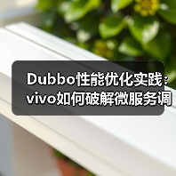 Dubbo性能优化实践:vivo如何破解微服务调用瓶颈?(图4) Dubbo性能优化实践:vivo如何破解微服务调用瓶颈?(图4)