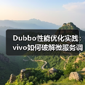 Dubbo性能优化实践:vivo如何破解微服务调用瓶颈?(图2) Dubbo性能优化实践:vivo如何破解微服务调用瓶颈?(图2)