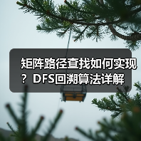 矩阵路径查找如何实现？DFS回溯算法详解（图3）