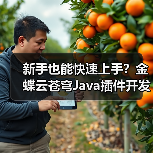 新手也能快速上手?金蝶云苍穹Java插件开发实战教学(图1) 新手也能快速上手?金蝶云苍穹Java插件开发实战教学(图1)