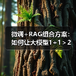 微调+RAG组合方案:如何让大模型1+1>2(图2) 微调+RAG组合方案:如何让大模型1+1>2(图2)