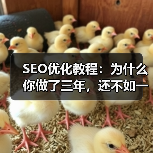 SEO优化教程:为什么你做了三年,还不如一个新站点?(图1) SEO优化教程:为什么你做了三年,还不如一个新站点?(图1)