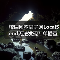 校园网不同子网LocalSend无法发现?单播互通怎么实现(图2) 校园网不同子网LocalSend无法发现?单播互通怎么实现(图2)