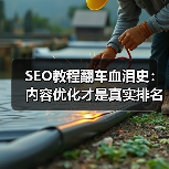 SEO教程翻车血泪史：内容优化才是真实排名关键（图2）
