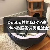 Dubbo性能优化实战:vivo微服务调优经验全解析(图2) Dubbo性能优化实战:vivo微服务调优经验全解析(图2)