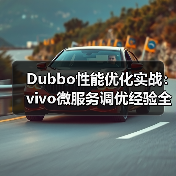 Dubbo性能优化实战:vivo微服务调优经验全解析(图3) Dubbo性能优化实战:vivo微服务调优经验全解析(图3)