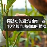 网站功能避坑指南:这10个核心功能如何精准提升转化率(图1) 网站功能避坑指南:这10个核心功能如何精准提升转化率(图1)