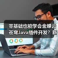 零基础也能学会金蝶云苍穹Java插件开发？新手必看教程（图4）