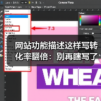 网站功能描述这样写转化率翻倍:别再瞎写了!(图3) 网站功能描述这样写转化率翻倍:别再瞎写了!(图3)