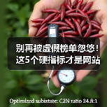 别再被虚假榜单忽悠！这5个硬指标才是网站功能选型关键（图3）