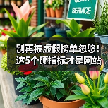 别再被虚假榜单忽悠！这5个硬指标才是网站功能选型关键（图4）