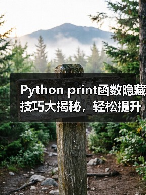 Python print函数隐藏技巧大揭秘，轻松提升代码效率！