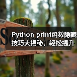Python print函数隐藏技巧大揭秘，轻松提升代码效率！（图3）