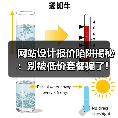 网站设计报价陷阱揭秘：别被低价套餐骗了！（图4）