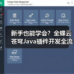 新手也能学会？金蝶云苍穹Java插件开发全流程详解（图3）