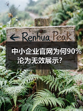 中小企业官网为何90%沦为无效展示？（图3）