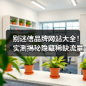 别迷信品牌网站大全！实测揭秘隐藏稀缺流量平台