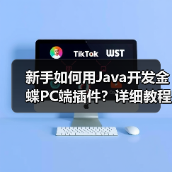 新手如何用Java开发金蝶PC端插件？详细教程（图2）
