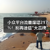 小众平台流量爆增217%！别再迷信