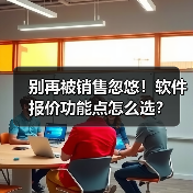 别再被销售忽悠！软件报价功能点怎么选？（图2）
