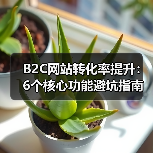 B2C网站转化率提升：6个核心功能避坑指南（图2）