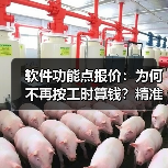 软件功能点报价：为何不再按工时算钱？精准定价新思路（图3）