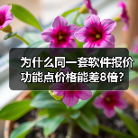 为什么同一套软件报价功能点价格能差8倍？（图3）