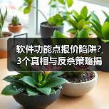 软件功能点报价陷阱？3个真相与反杀策略揭秘（图4）
