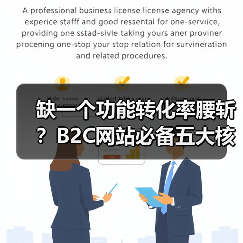缺一个功能转化率腰斩？B2C网站必备五大核心功能揭秘（图2）